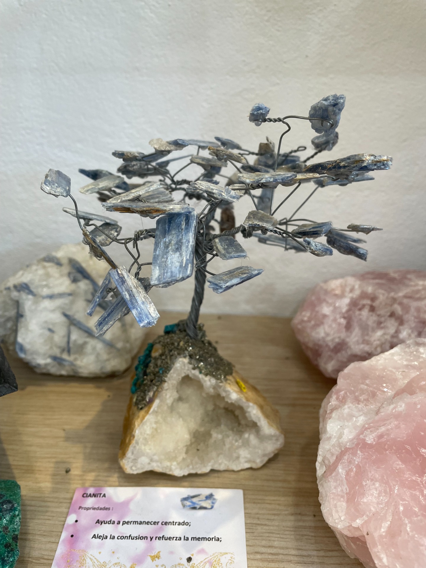 Déco Arbre Créa Disthène