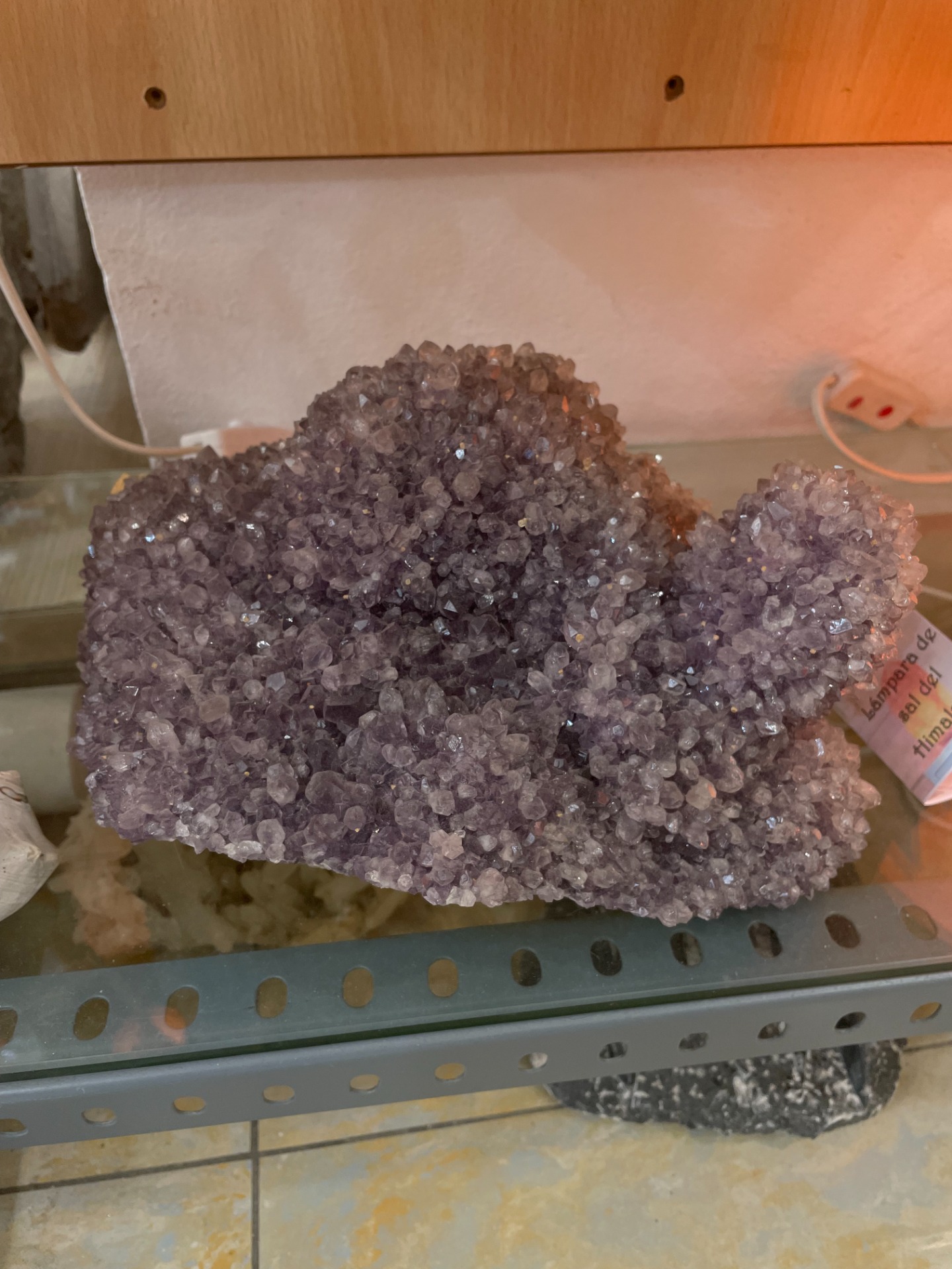 Brut Améthyste Cactus 